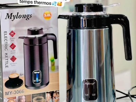 Chauffe eau en meme temps Thermos (1)